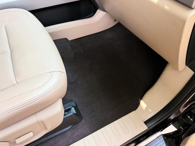 Shampooed carpet and clean door sill in the Ford F-150