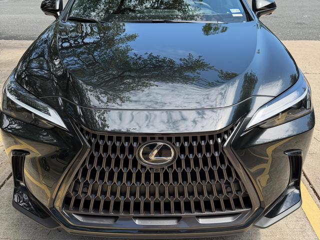 Clean black hood and spindle grille of the 2025 Lexus NX 350 reflecting the trees above
