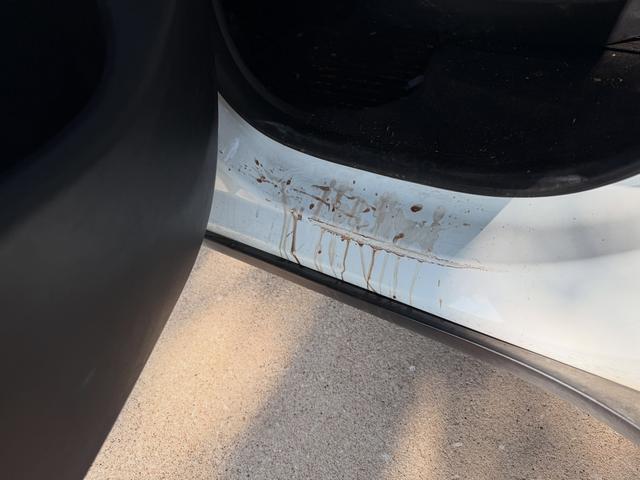 Before: dried mud and dirt streaks splashed across the white rocker panel below the Model Y door
